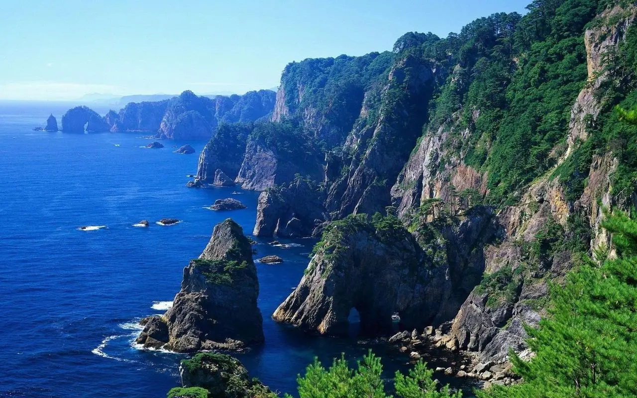 高精度全自动自动化